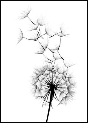 Line Art Figure Poster Dandelion Canvas Painting Grass Wall Art Print Quote Modern Picture For Living Room On The Wall Decor