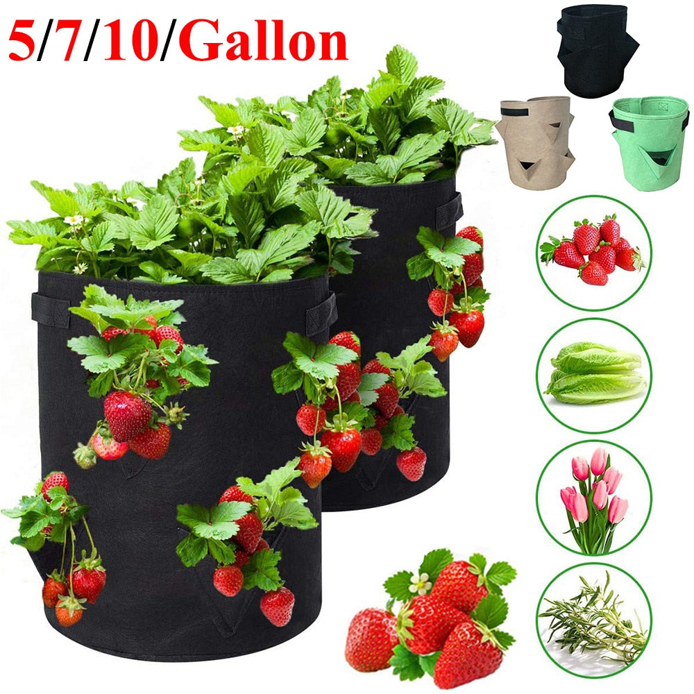 Garden Outdoor Planting Grow Bag Strawberry Vertical Flower Herb Pouch Root Breathable Vegetable Round Reusable Pot Planter D30