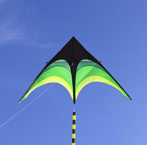 free shipping high quality large delta kites tails with handle outdoor toys for kids kites nylon ripstop albatross kite factory