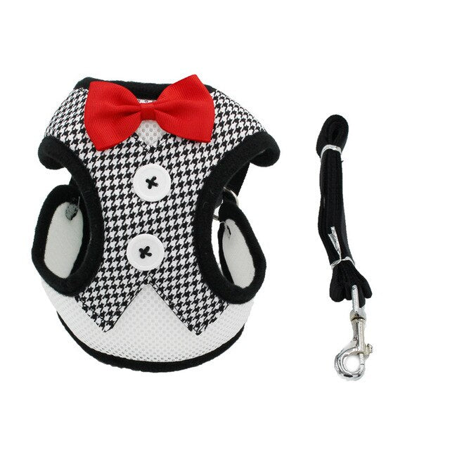 2020 Summer New Dog Leashes Harness Sets Breathable Canvas with Tie Pet Cat Outdoor Walking Dress Clothes For Party Pets Product