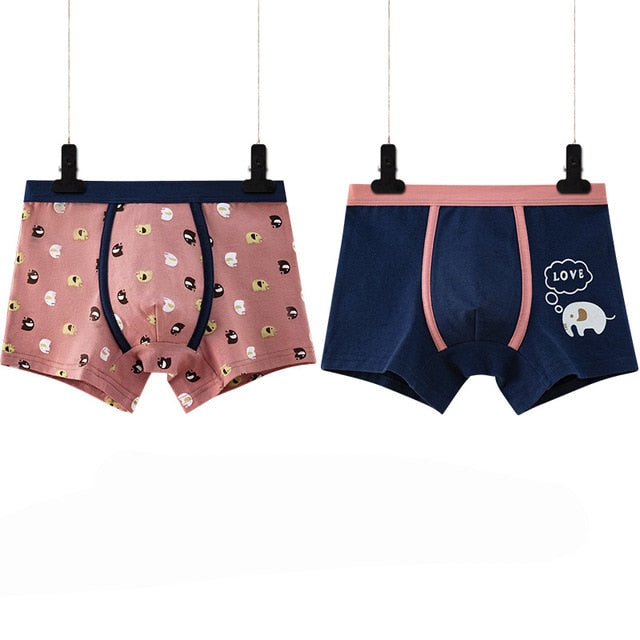 2020 Kids Boys Cotton Underwear Cartoon Children's Shorts Panties for Baby Boy Boxers Stripes Teenager Underpants Funny 2pcs/lot